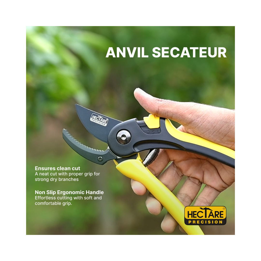 Hectare Precision Anvil Pruning Secateur | Buy Online at Best Price