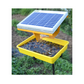 Hectare Solar Insect Trap | Buy Online at Best Price - DesiKheti