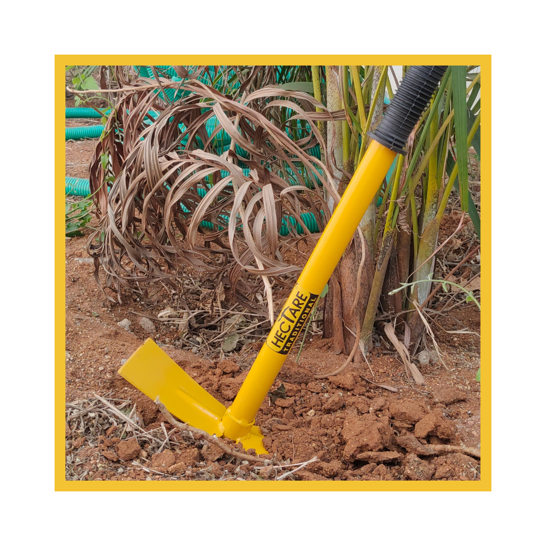 Hectare Traditional Garden Hand Hoe 2 in 1 | Buy Online at Best Price