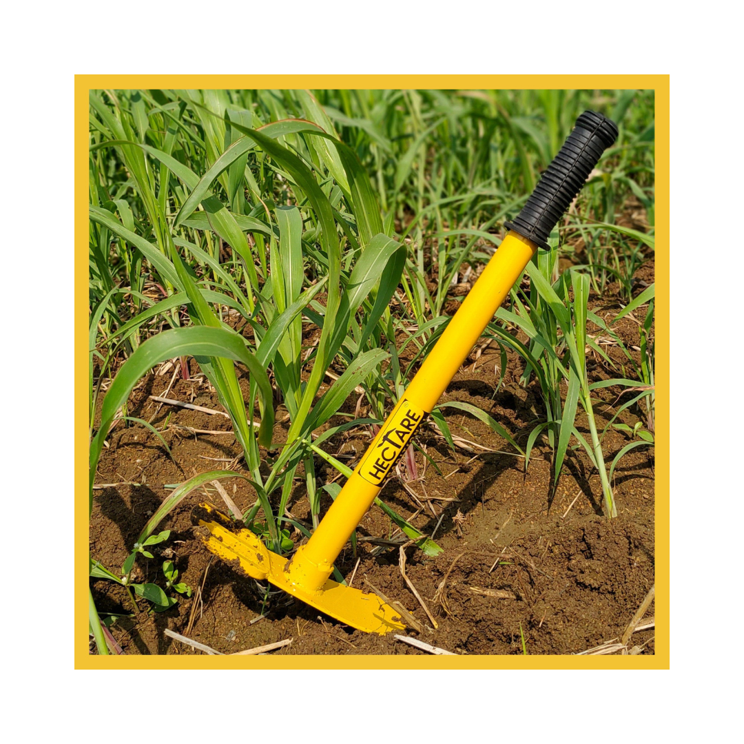 Hectare Traditional Hoe with 3 Prong Cultivator | Buy Online Now