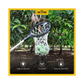 Hectare Universal Fruit Picker | Buy Online at Best Price - DesiKheti