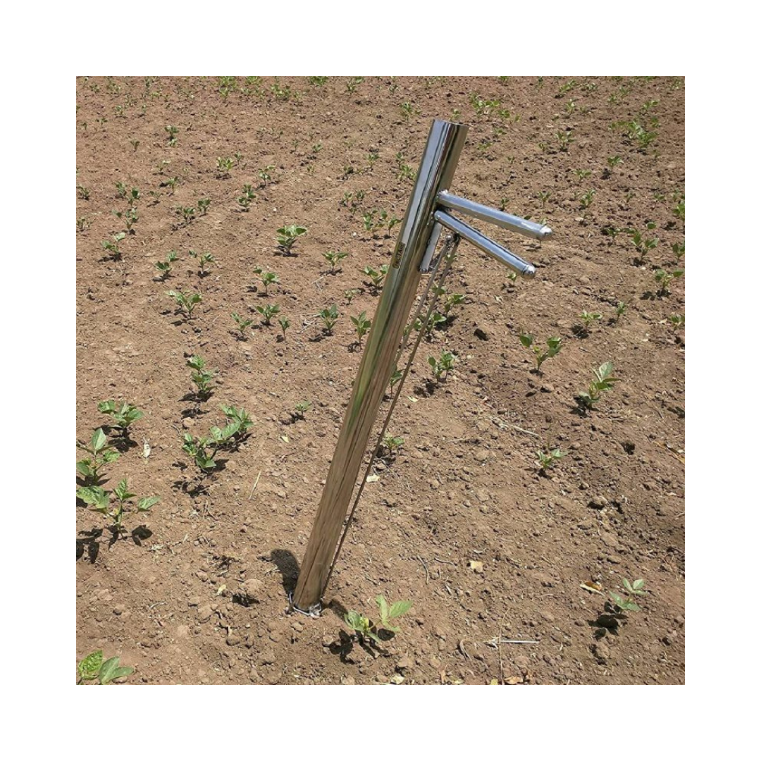 Hectare Vegetable Seedling Transplanter