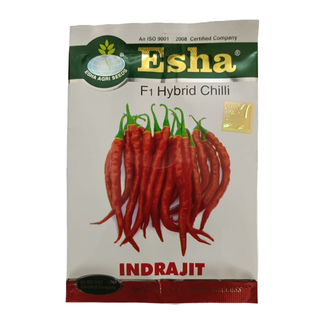 Indrajit Chilli Seeds - Esha | F1 Hybrid | Buy Online at Best Price