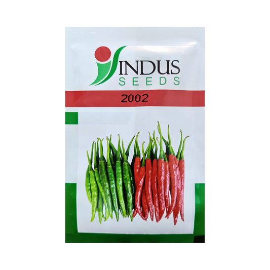 Indus - 2002 Chilli Seeds