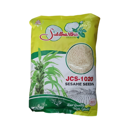 JCS-1020 Gingelly (Sesamum) Seeds | Buy Online at Best Price Now