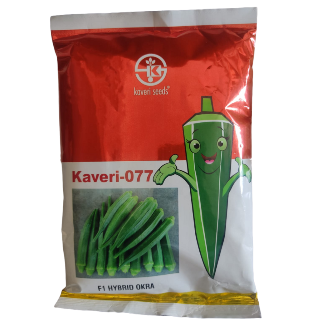 077 Bhendi Seeds - Kaveri | F1 Hybrid | Buy Online at Best Price