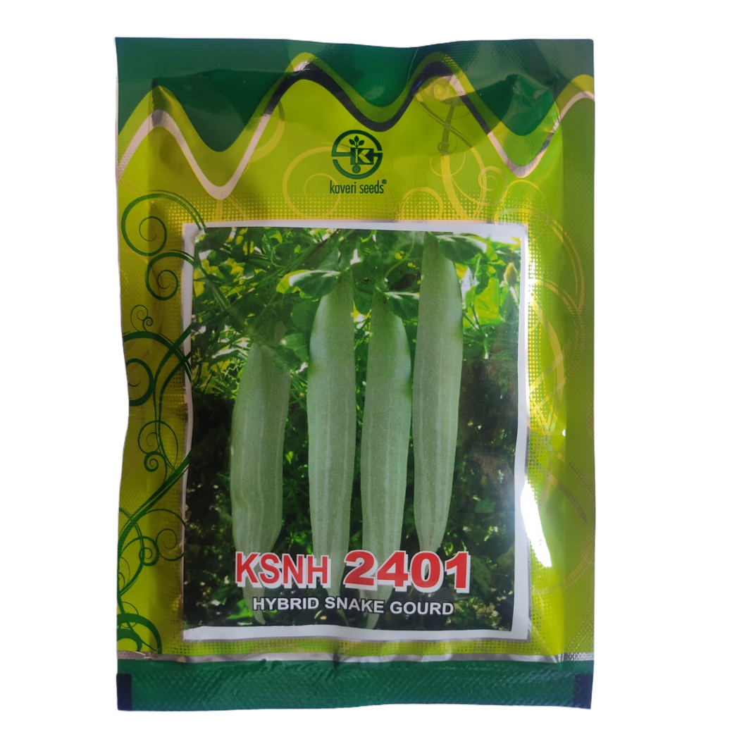 KSNH - 2401 SnakeGourd - Kaveri | F1 Hybrid | Buy Online at Best Price