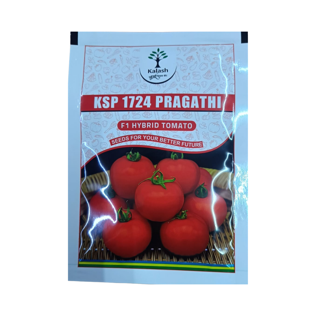 KSP 1724 Pragathi Tomato Seeds - Kalash | F1 Hybrid | Buy Online Now