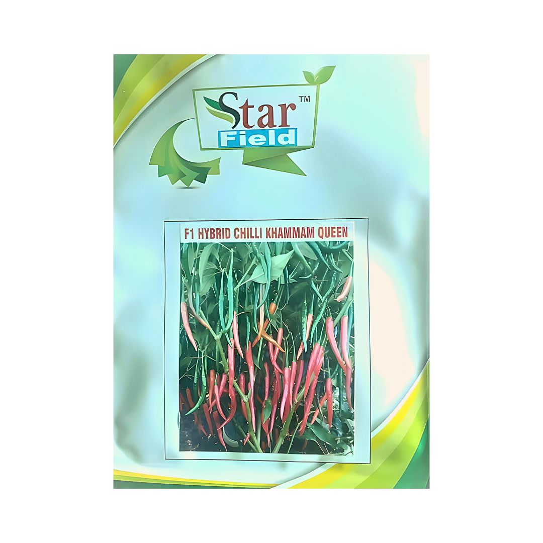 Khammam Queen Chilli Seeds - Star Field | F1 Hybrid | Buy Online Now