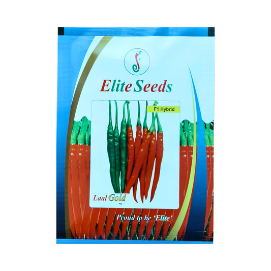 Elite - Laal Gold Chilli Seeds | F1 Hybrid Mirchi | Buy Online Now