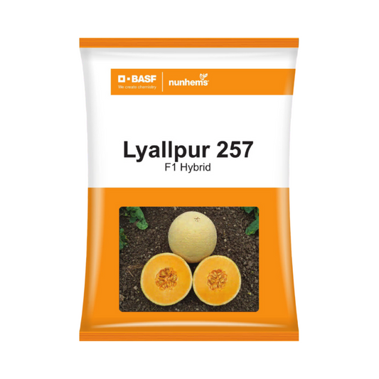 Lyallpur 257 Muskmelon Seeds - Nunhems | F1 Hybrid | Buy Online Now