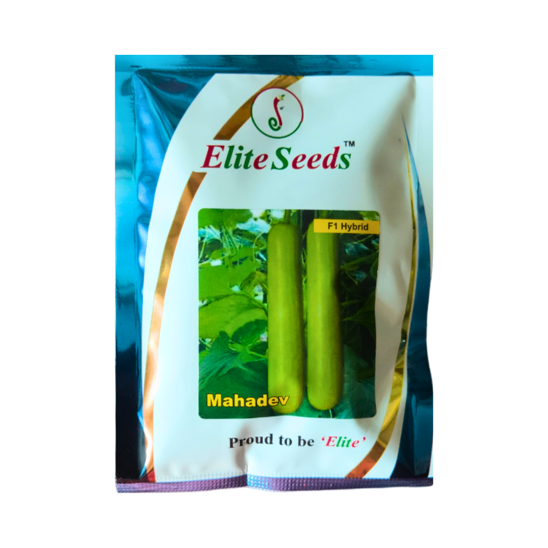 Mahadev Bottle Gourd Seeds - Elite | F1 Hybrid | Buy Online at Best Price