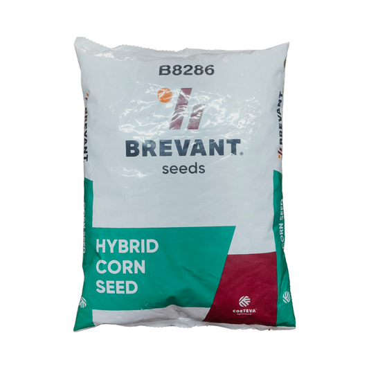 B8286 Maize Seeds - Brevant | Buy Online at Best Price - DesiKheti