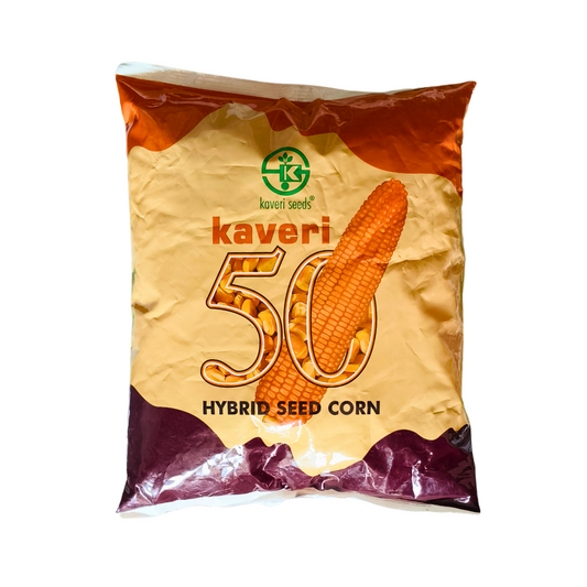 Kaveri 50 Maize Seeds | Buy Online in India at Best Price – Desikheti