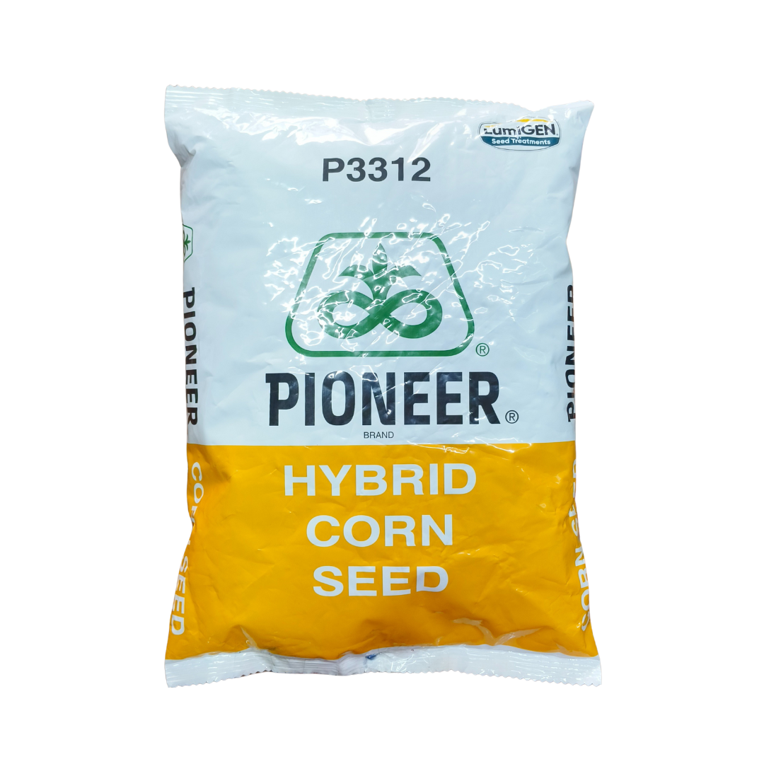 P3312 Maize Seeds - Pioneer | Buy Online at Best Price – Desikheti