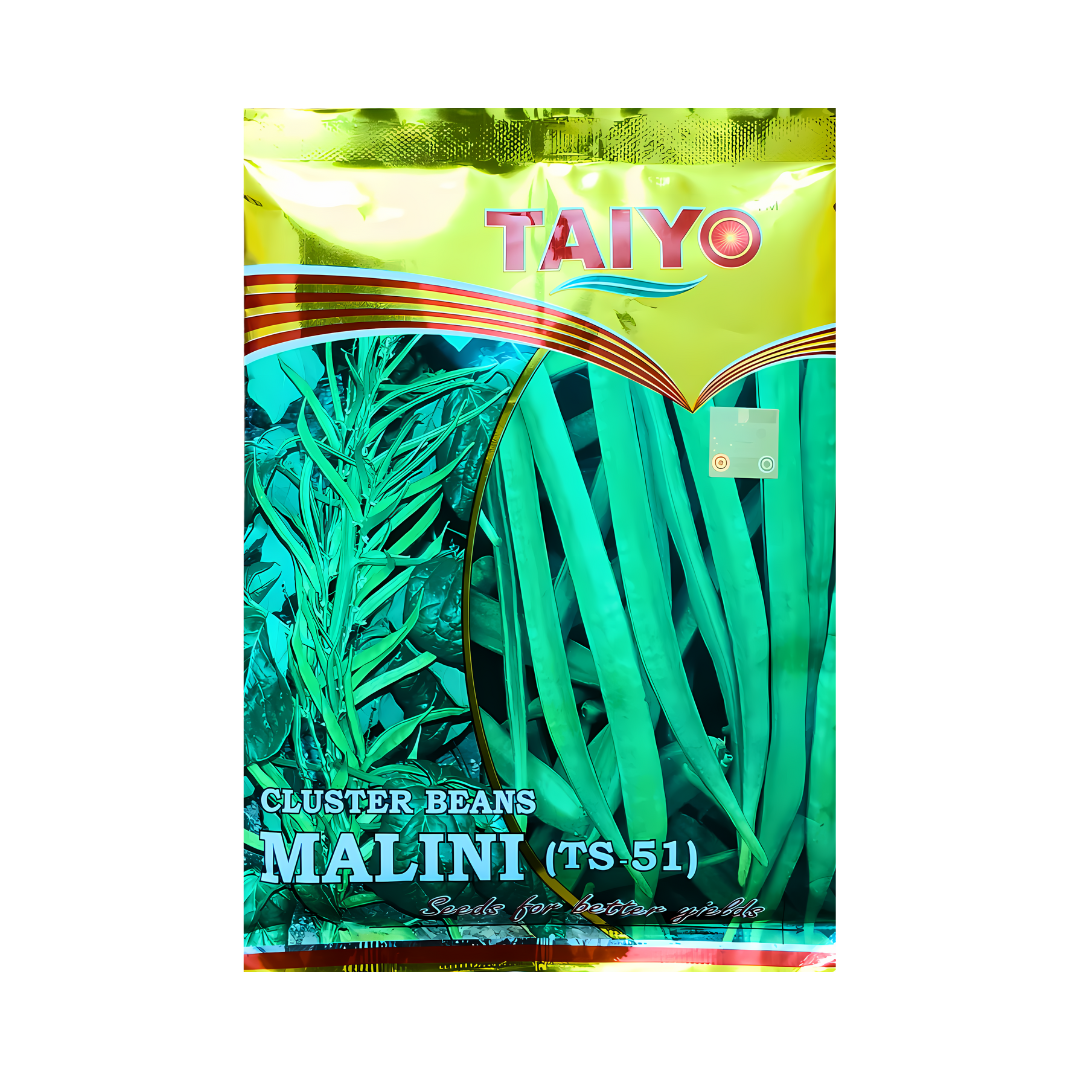 Malini (TS-51) Cluster Beans Seeds - Taiyo | Buy Online at Best Price