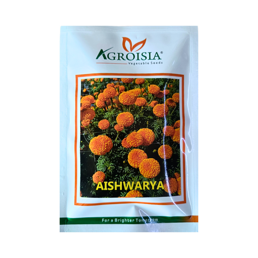 Aishwarya Marigold Seeds