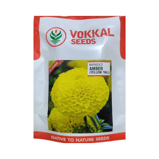 Amber Marigold Seeds - Vokkal Seeds | F1 Hybrid | Buy Now - DesiKheti