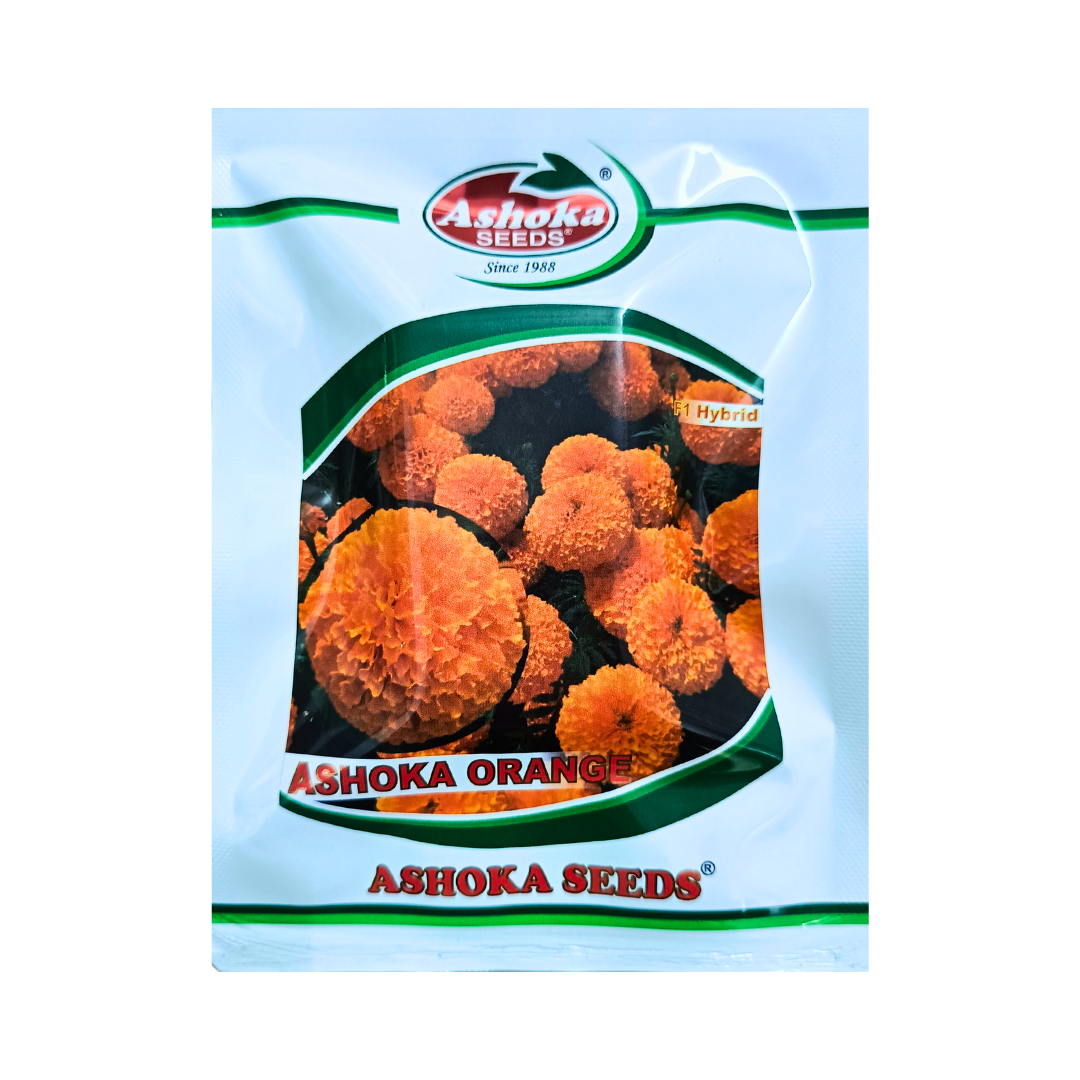 Ashoka Orange Marigold Seeds | F1 Hybrid | Buy Online at Best Price