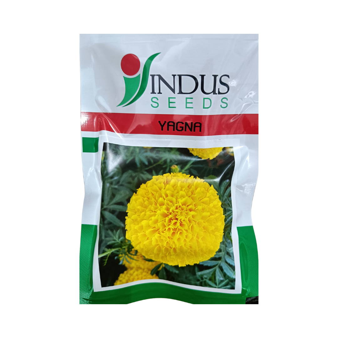 Yagna Marigold Seeds - Indus | F1 Hybrid | Buy Online Now