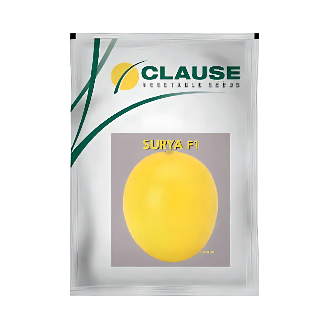 Surya Muskmelon Seeds - HM Clause | F1 Hybrid | Buy Online Now