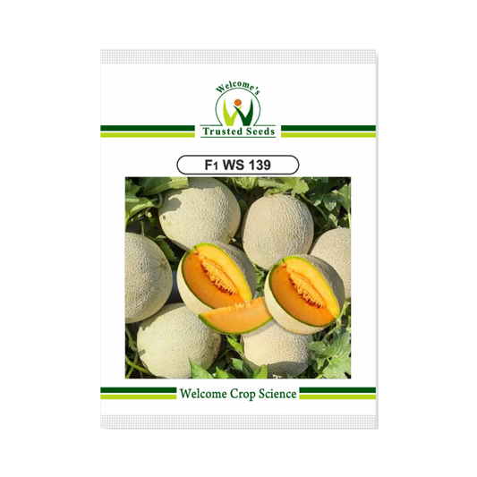 WS 139 Muskmelon Seeds - Welcome | F1 Hybrid | Buy Online Now