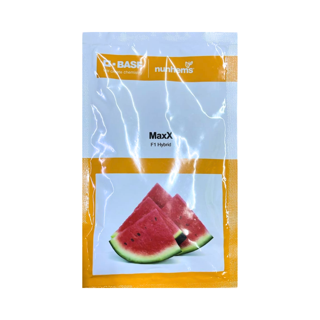 Maxx Watermelon Seeds - Nunhems | F1 Hybrid | Buy Online at Best Price