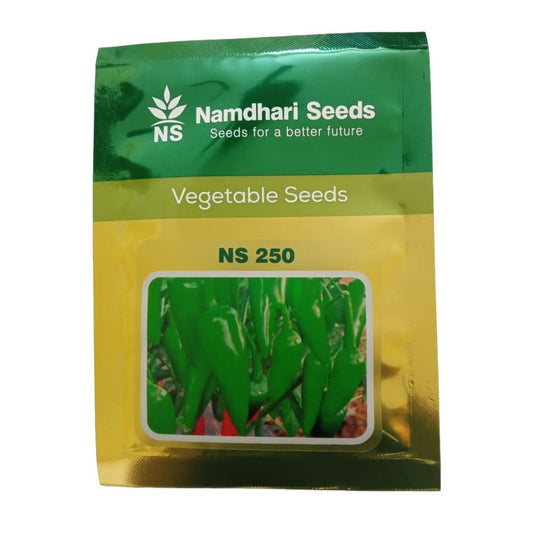 NS 250 Chilli Seeds - Namdhari | F1 Hybrid | Buy Online at Best Price