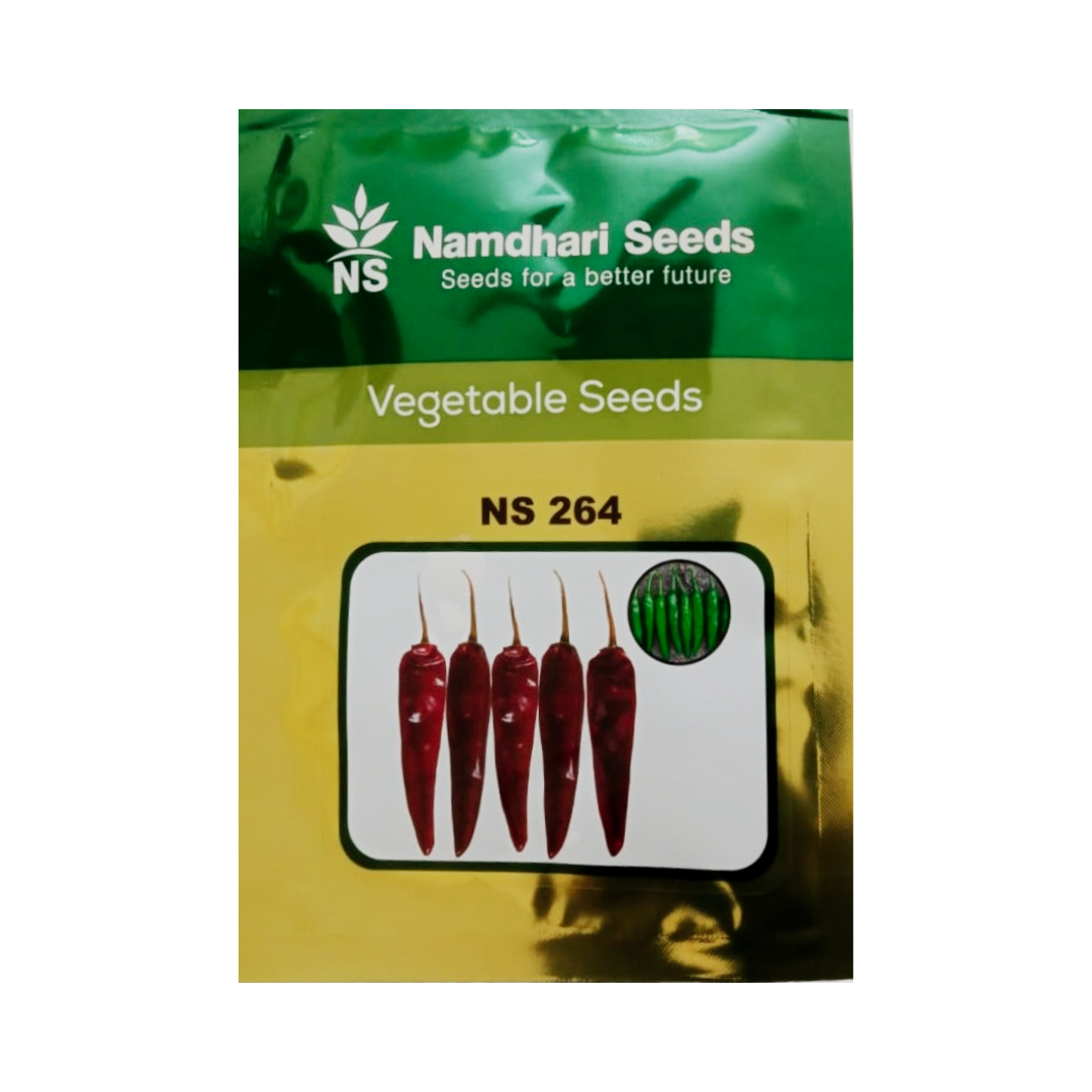 NS 264 Chilli Seeds - Namdhari | F1 Hybrid | Buy Online at Best Price