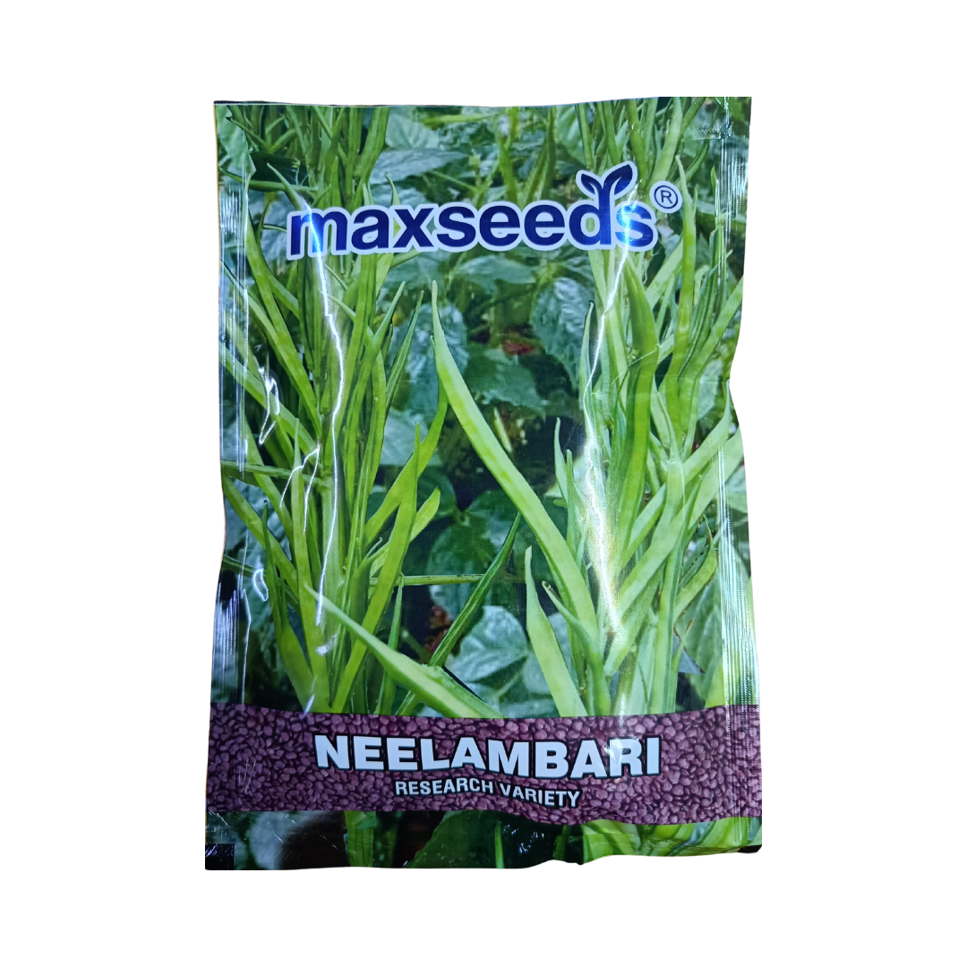 Neelambari Cluster Beans Seeds - Max | Buy Online at Best Price