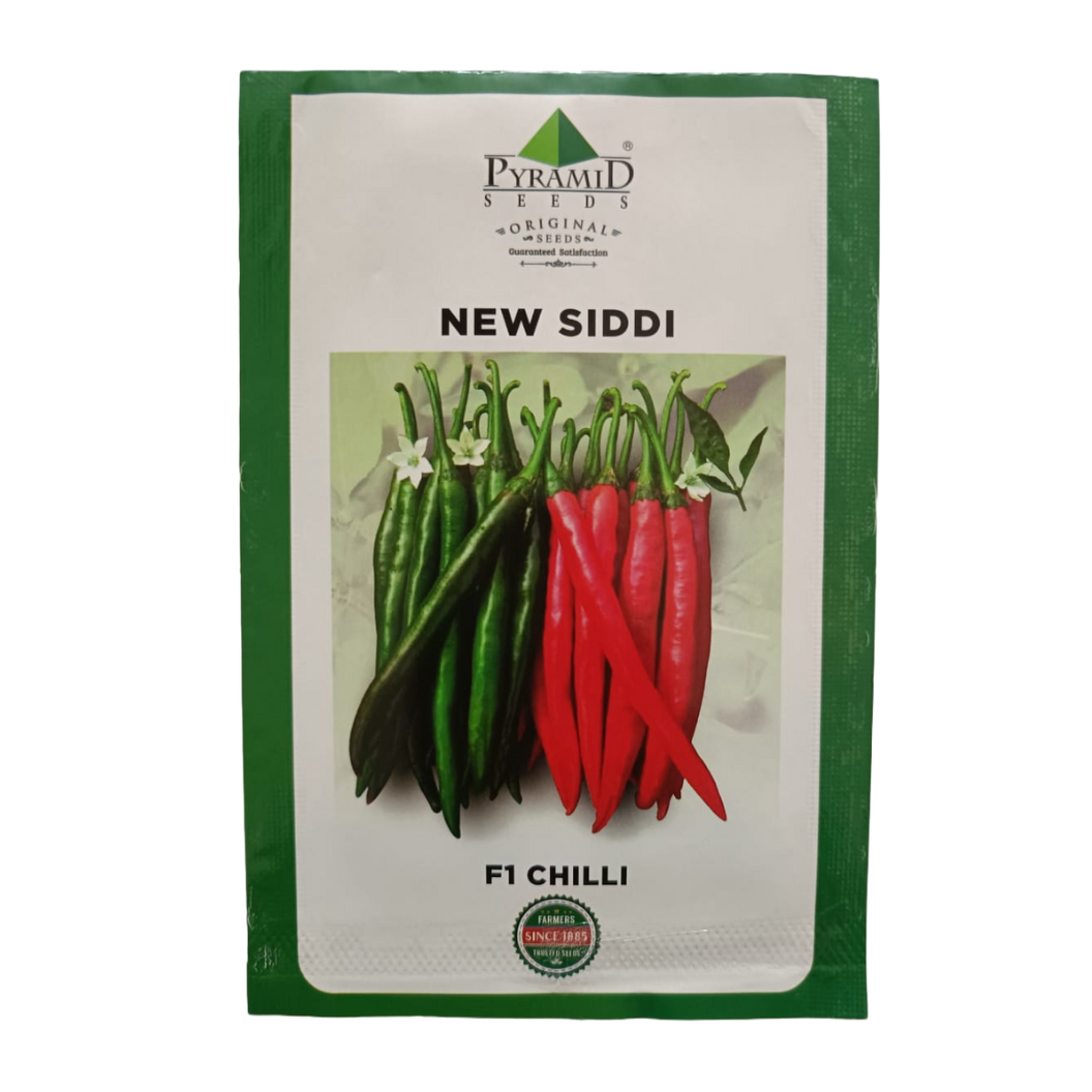 New Siddi Chilli Seeds - Pyramid | F1 Hybrid | Buy Online - DesiKheti