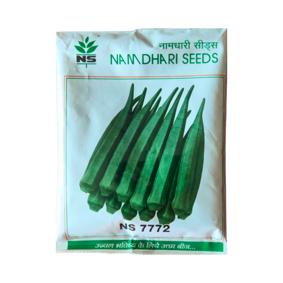 NS 7772 Bhendi Seeds - Namdhari | F1 Hybrid | Buy Online - DesiKheti ...