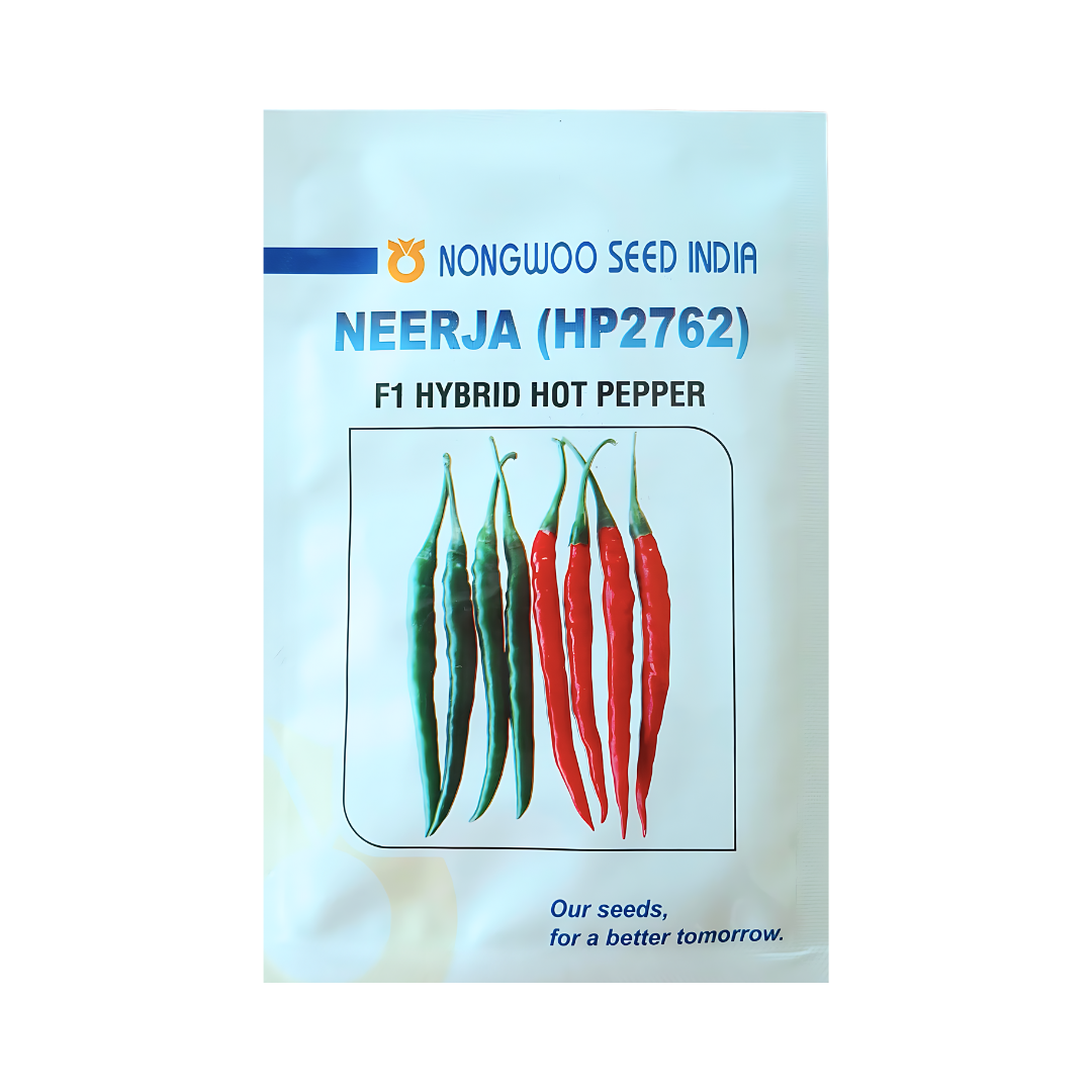 Neerja (HPH 2762) Chilli Seeds - Nongwoo | F1 Hybrid | Buy Online Now