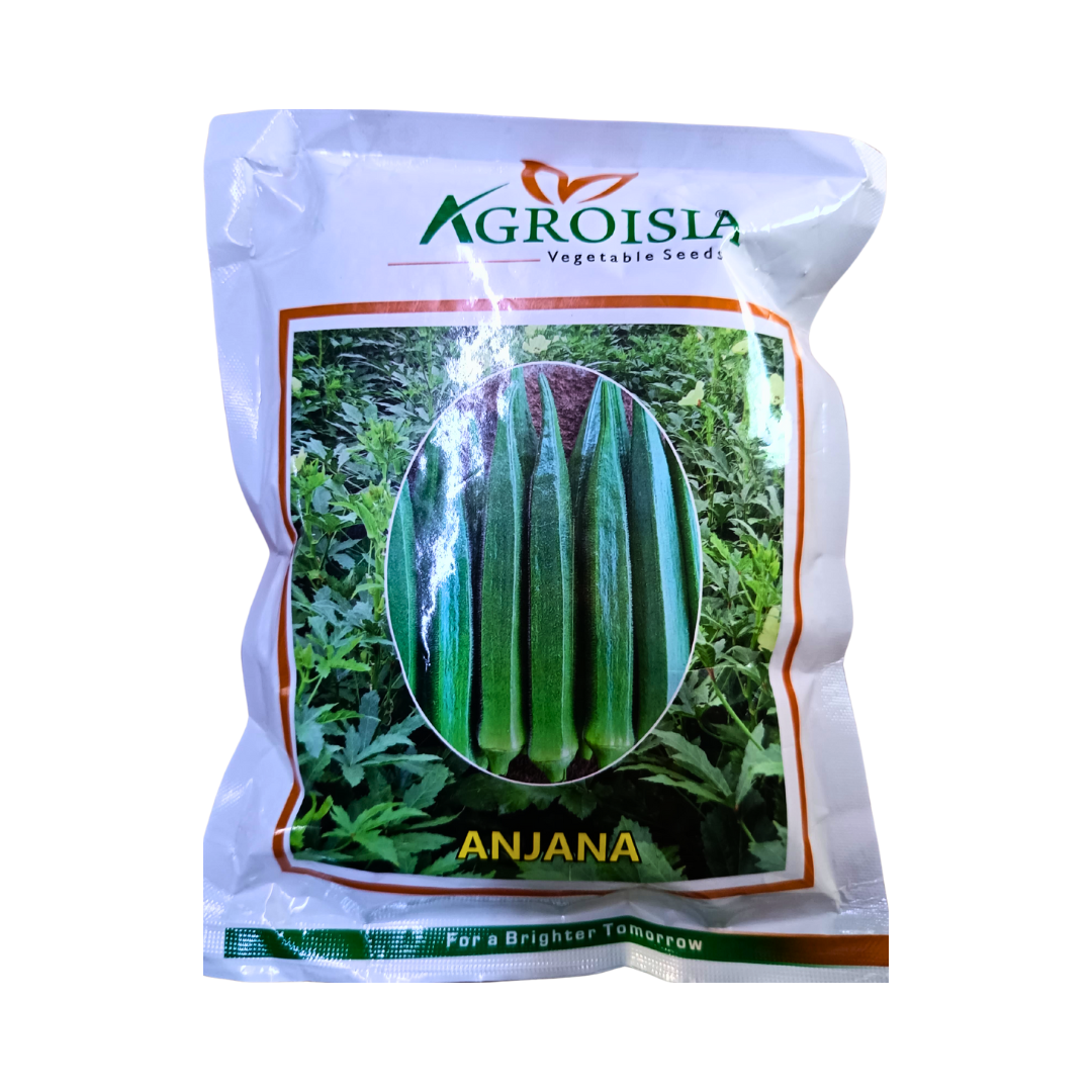 Anjana Okra(Bhendi) Seeds - Agroisia | F1 Hybrid | Buy Online Now