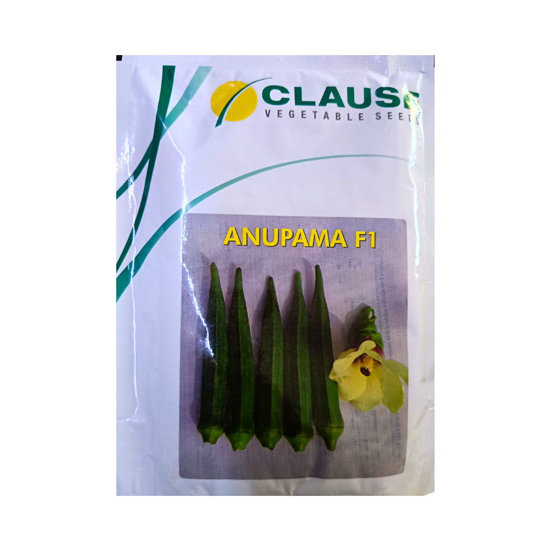 Anupama Okra(Bhindi) Seeds - HM Clause | F1 Hybrid | Buy Online Now