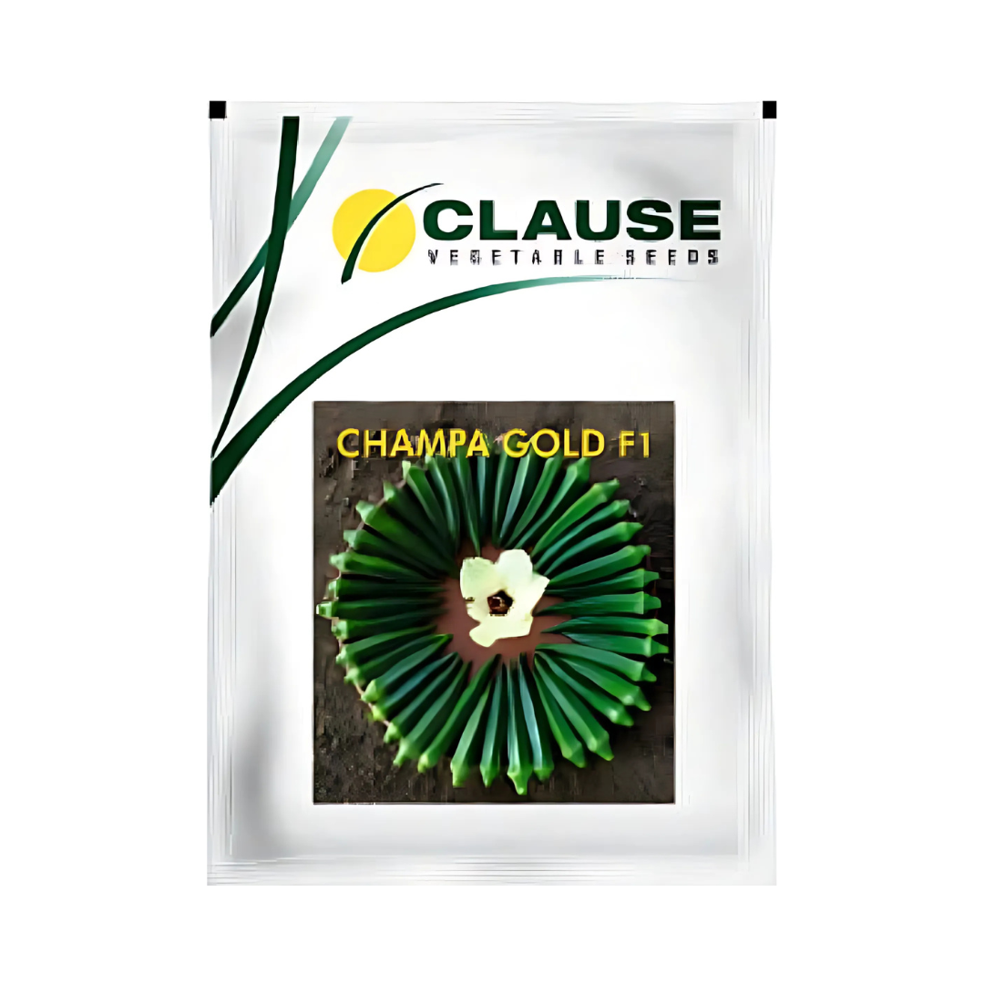 Champa Gold Bhindi ( Okra ) Seeds - HM Clause | F1 Hybrid | Buy Online