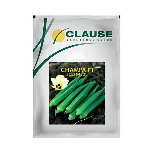 Champa Bhindi ( Okra ) Seeds - HM Clause | F1 Hybrid | Buy Online Now