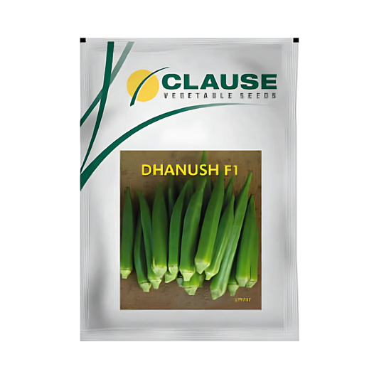 Dhanush Bhindi (Okra) Seeds - HM Clause | F1 Hybrid | Buy Online