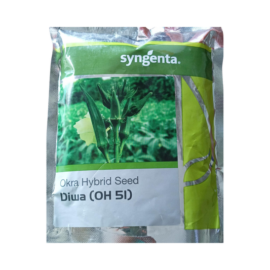 Diwa (OH - 51) Bhendi Seeds - Syngenta | F1 Hybrid | Buy Online Now