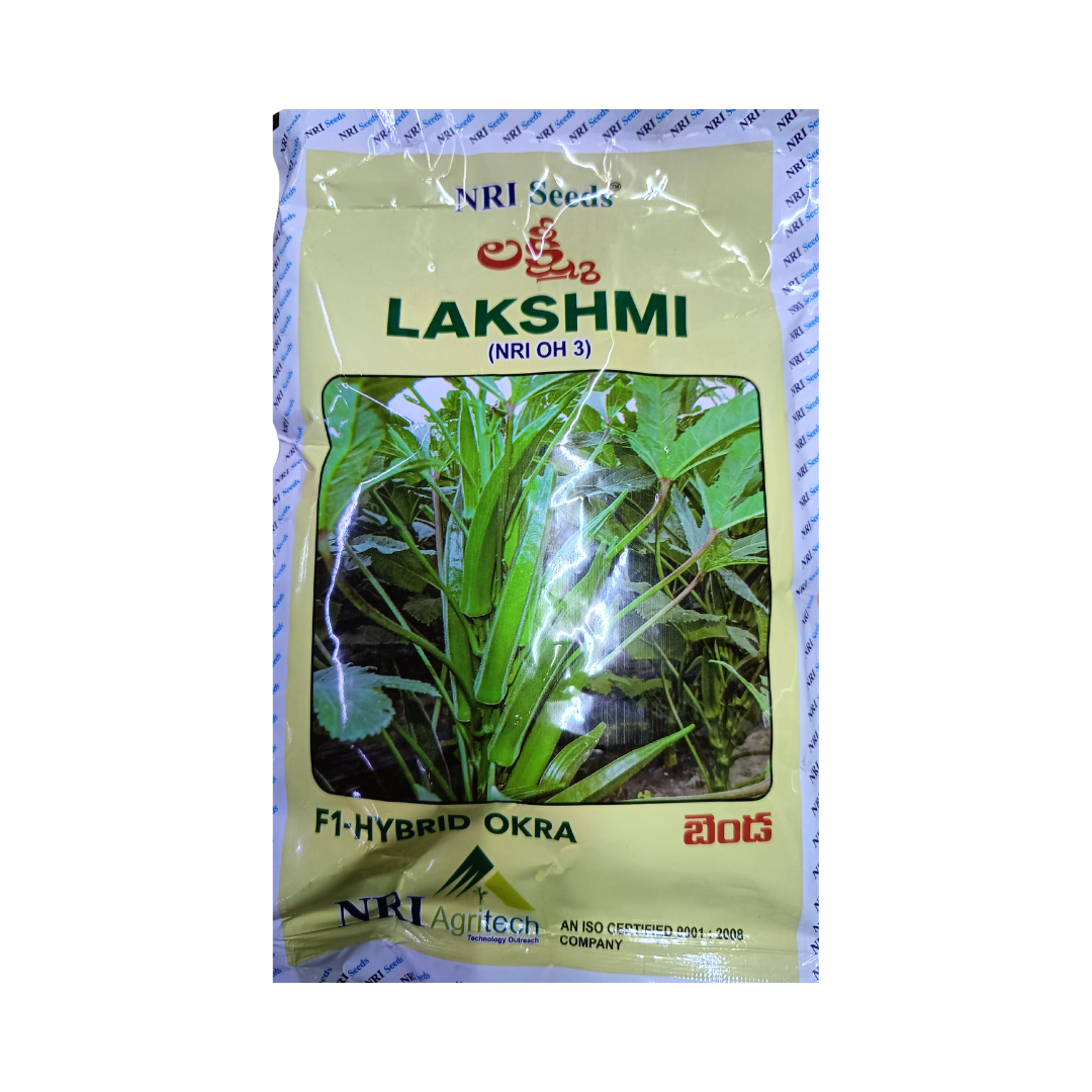 Lakshmi (NRI OH 3) Okra Seeds - Premium | F1 Hybrid | Buy Online Now