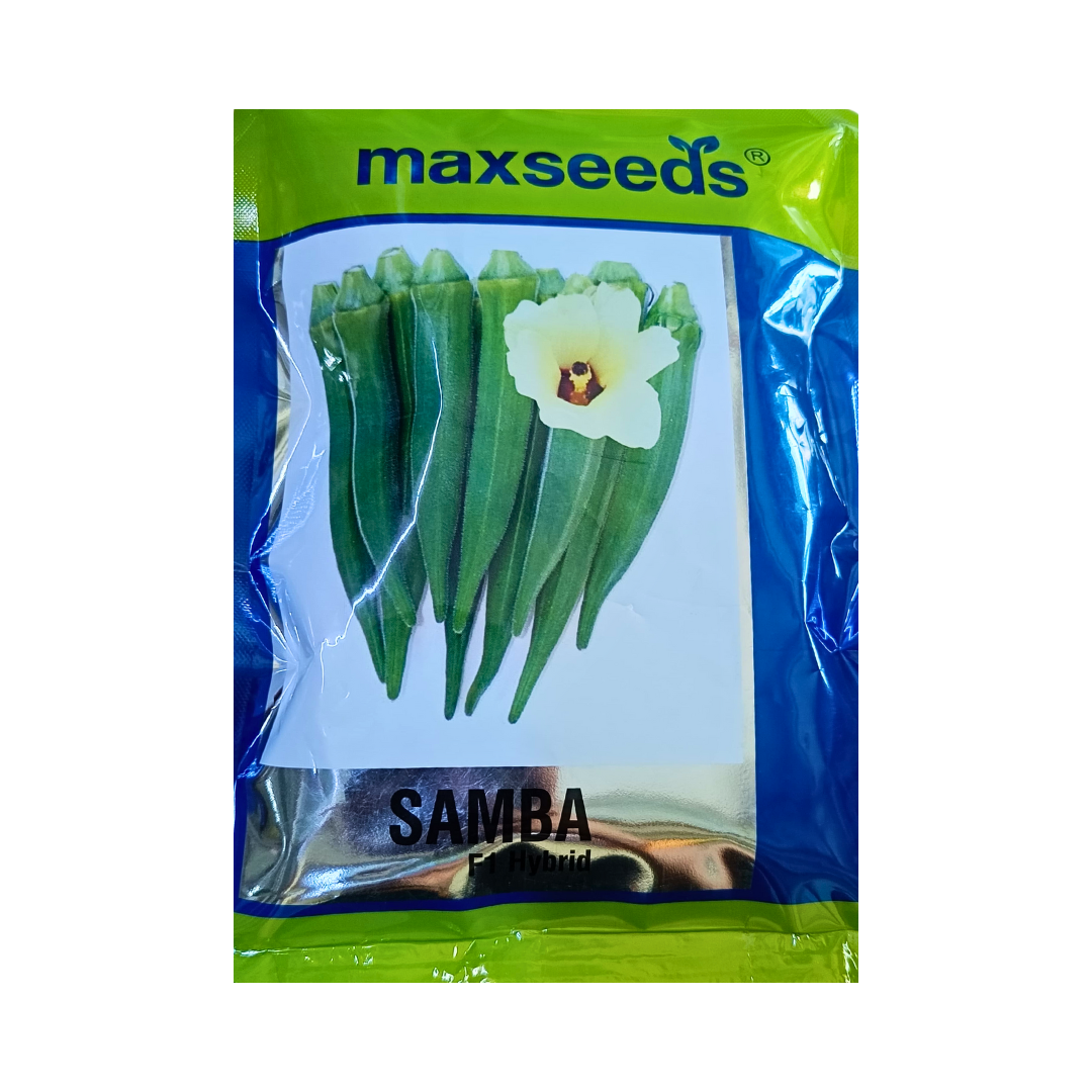 Samba Okra(Bhindi) Seeds - Max | F1 Hybrid | Buy Online at Best Price