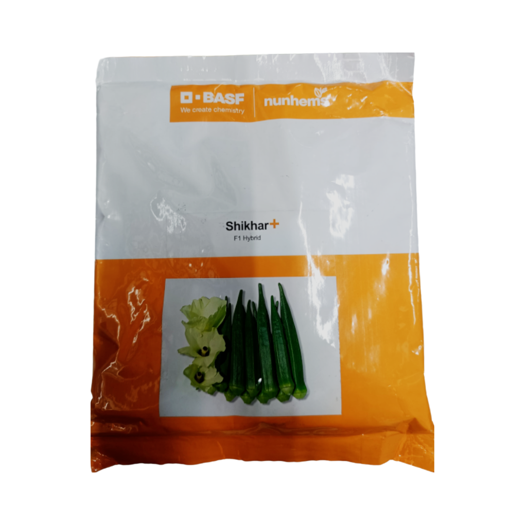 Shikhar Plus Bhindi Seeds - Nunhems | F1 Hybrid | Buy Online Now