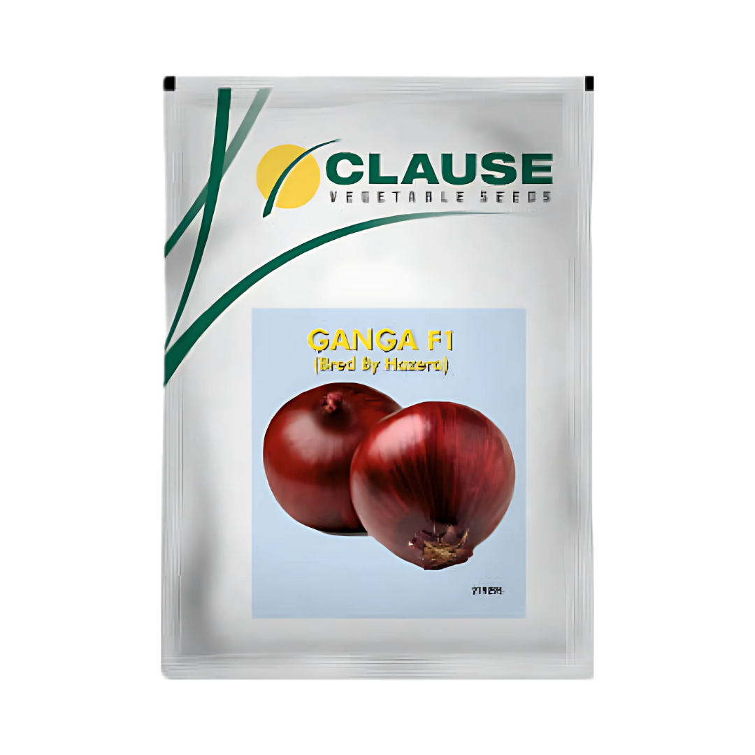 Ganga Onion Seeds - HM Clause | F1 Hybrid | Buy Online - DesiKheti