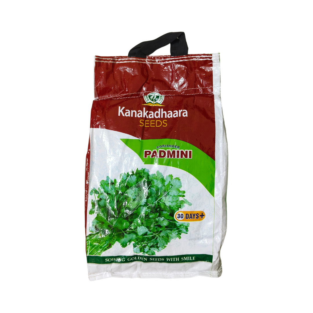 Padmini Coriander Seeds - Kanakadhaara Seeds | Buy Online Now