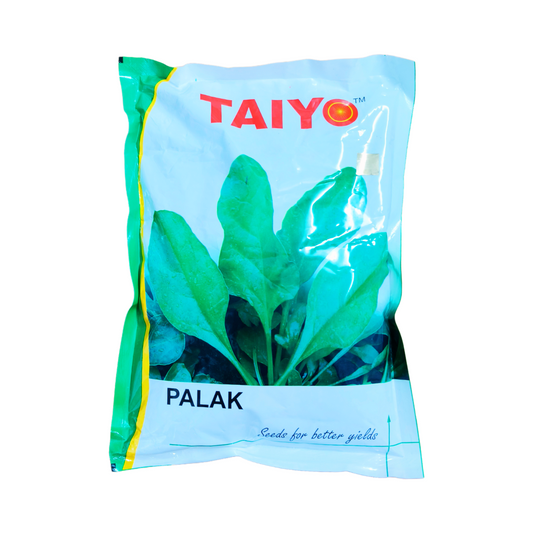 All Green Palak Seeds - Taiyo |  F1 Hybrid | Buy Online - DesiKheti