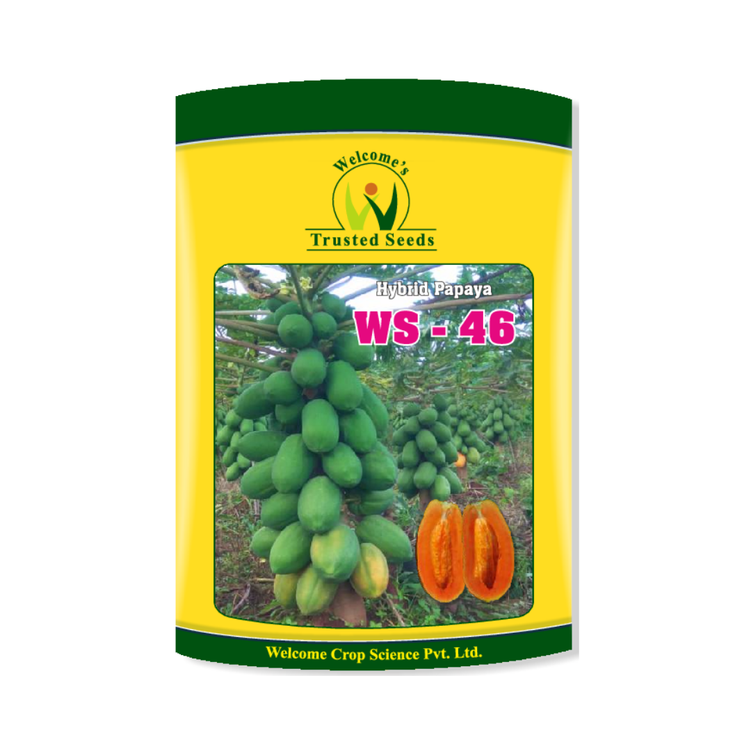 WS - 46 Papaya Seeds - Welcome | F1 Hybrid | Buy Online at Best Price