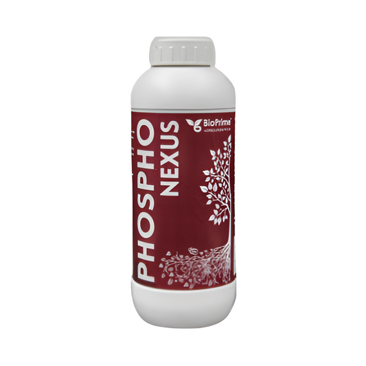 Phospho Nexus - BioPrime | Buy Online at Best Price - DesiKheti