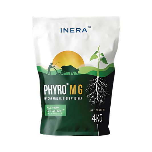 Phyro M G - Inera | Buy Online at Best Price - Desikheti