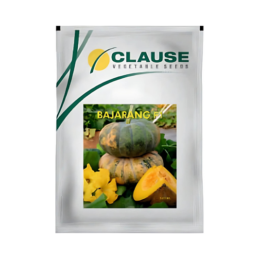 Bajarang Pumpkin Seeds - HM Clause | F1 Hybrid | Buy Online Now