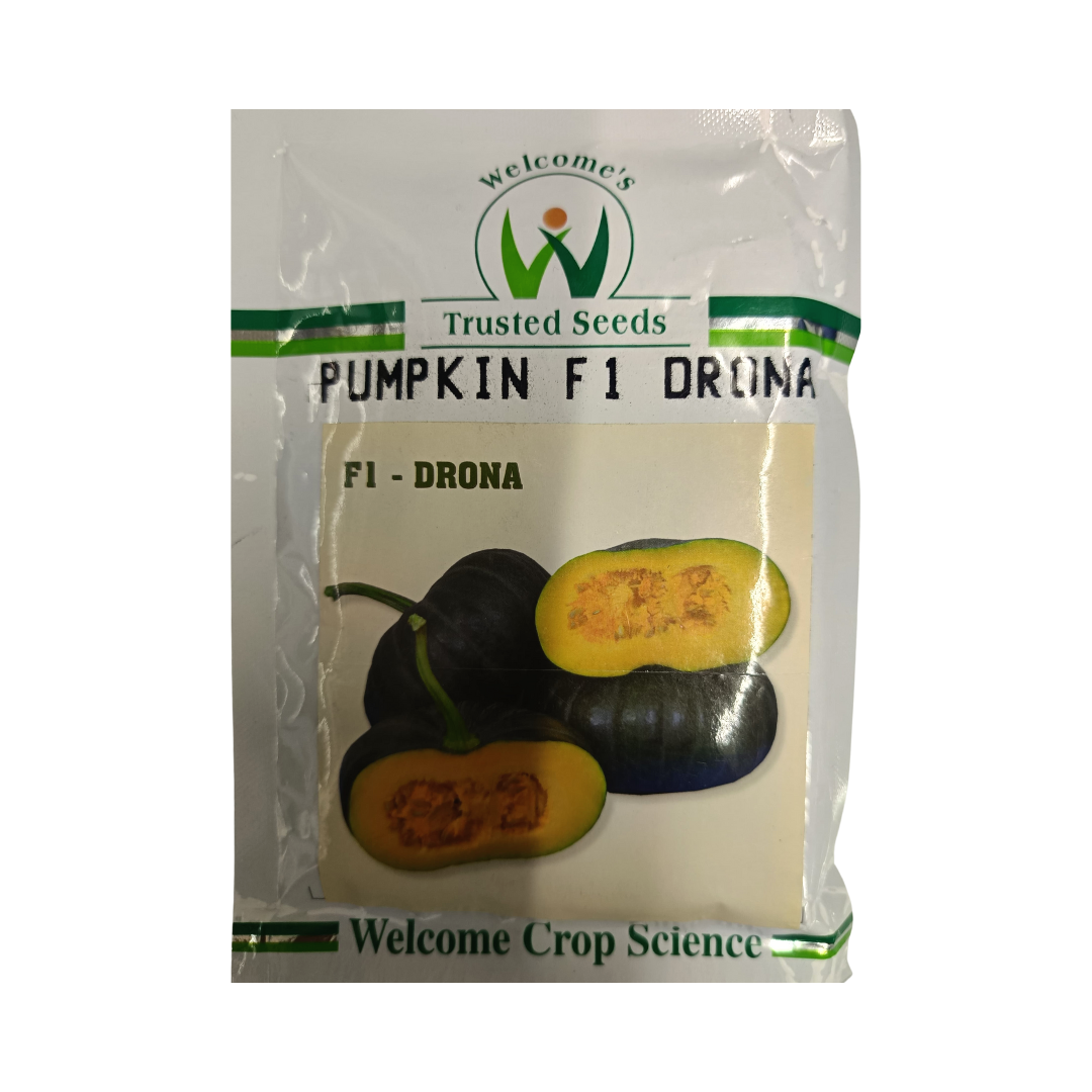 Drona Pumpkin Seeds - Welcome | F1 Hybrid | Buy Online at Best Price